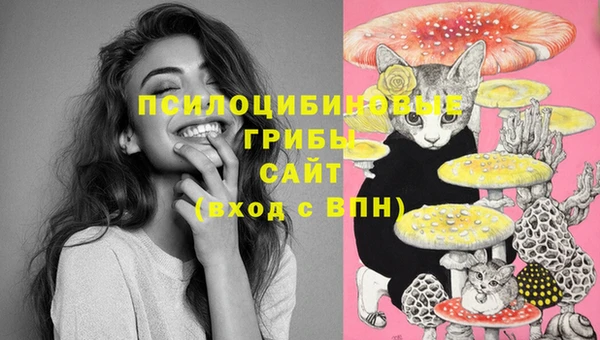 ПСИЛОЦИБИНОВЫЕ ГРИБЫ Алексин