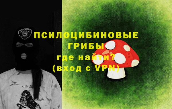 ПСИЛОЦИБИНОВЫЕ ГРИБЫ Алексин