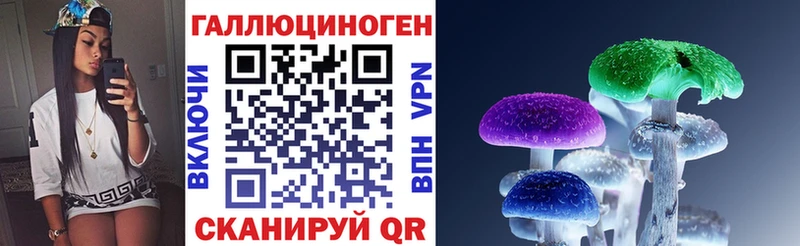 продажа наркотиков  Юрьевец  Галлюциногенные грибы Cubensis 